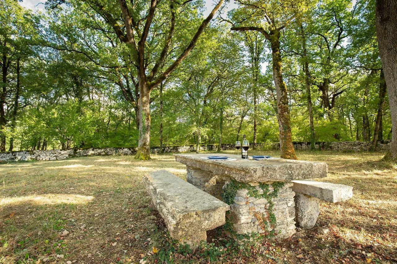 La Terrasse - A Peaceful Place In The Forest Concots
